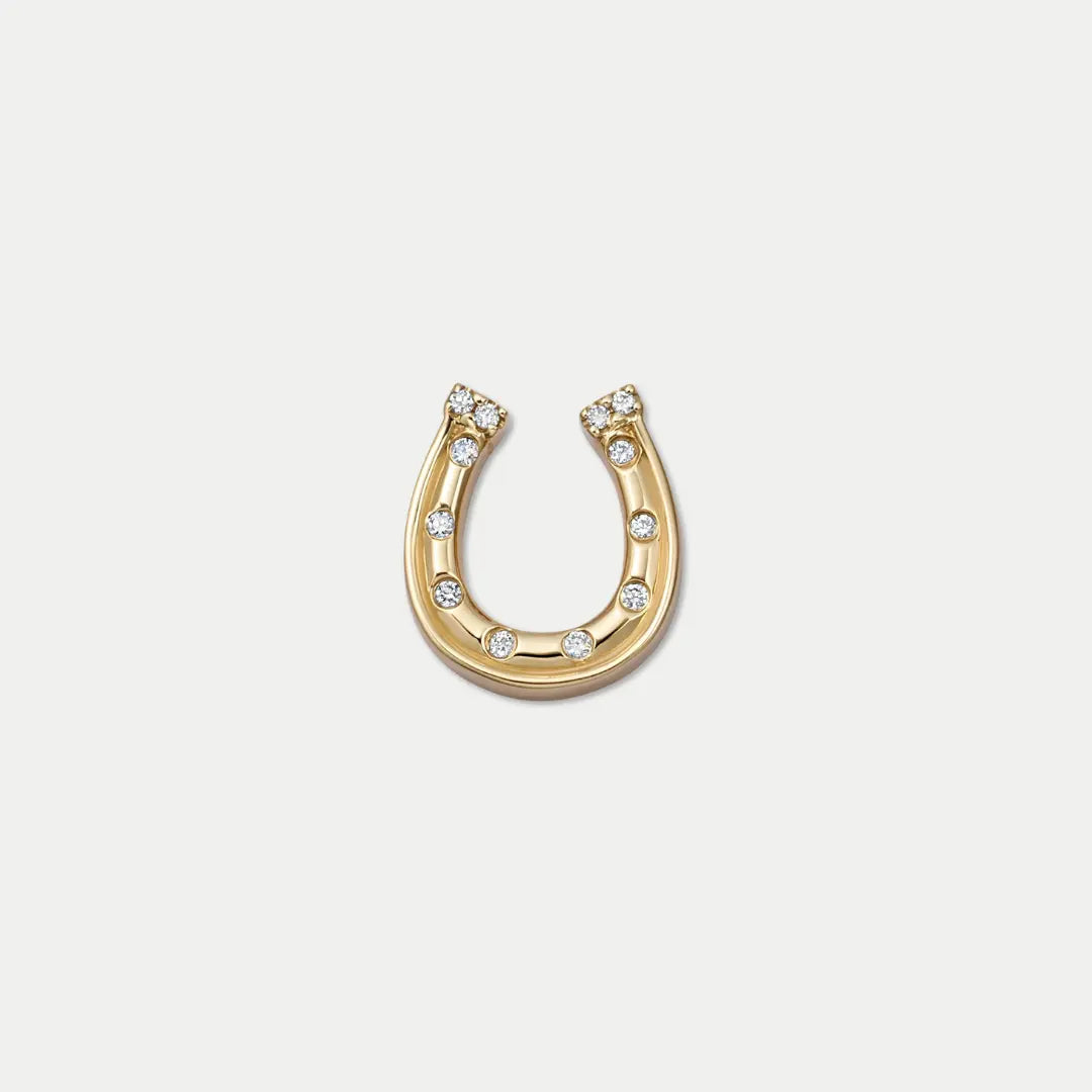 Horseshoe Luck Charm 1