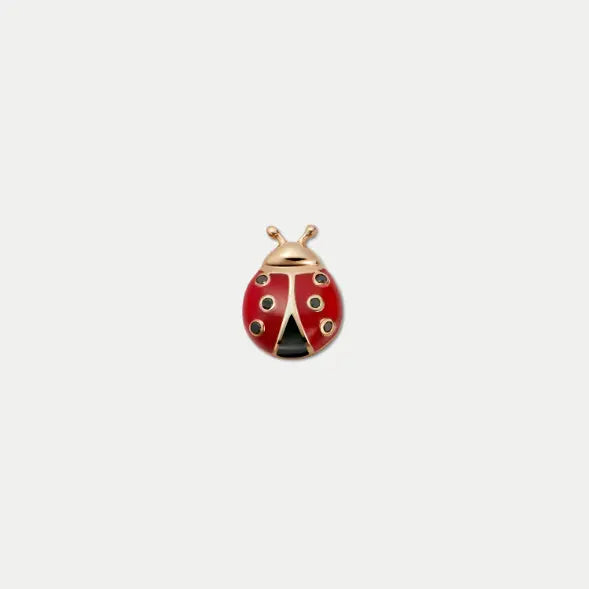 Ladybug Charm 1