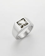Moissanite Ring | Titanium Steel 3