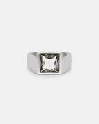 Moissanite Ring | Titanium Steel 5