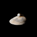 Mother Of Pearl Ring 16