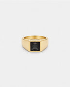 Onyx Ring | Gold 1