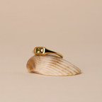 Laguna Ring 4
