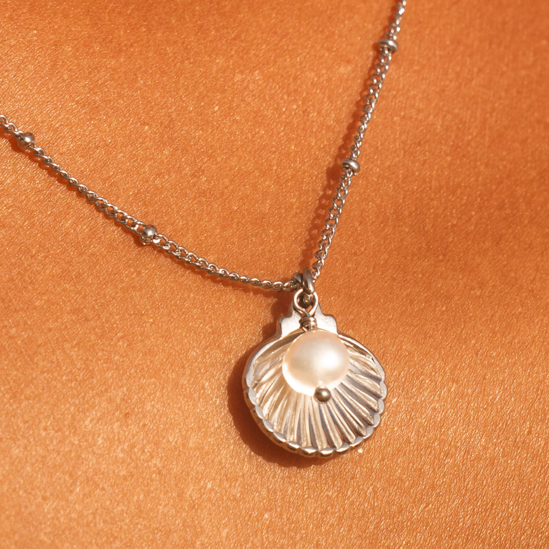 Seashell Necklace 5
