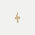 Snake Charm 1
