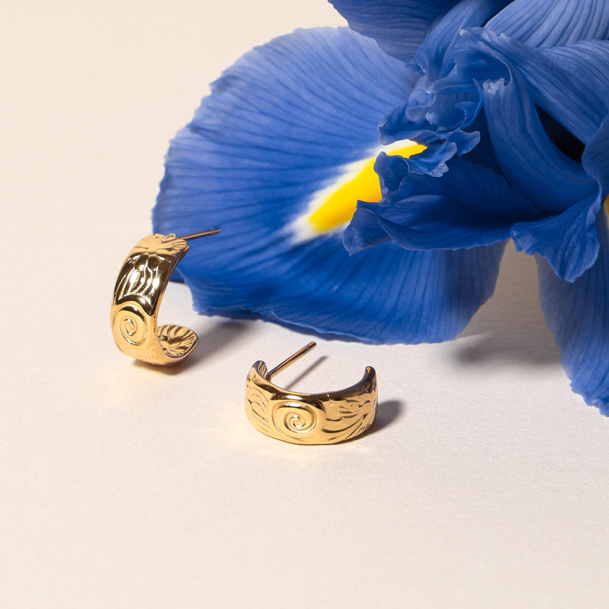 Bloom Hoops 6