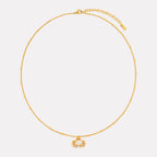 Crab Necklace 6