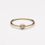 Elvia Ring 1