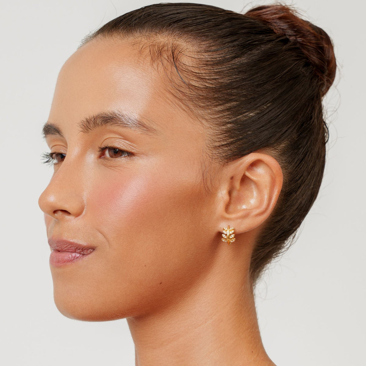 Laurel Hoops Earrings 2