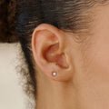 Zircon Stud Earrings 1