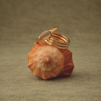 Moonstone Ring 6