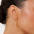 Lucky Fish Earrings 1