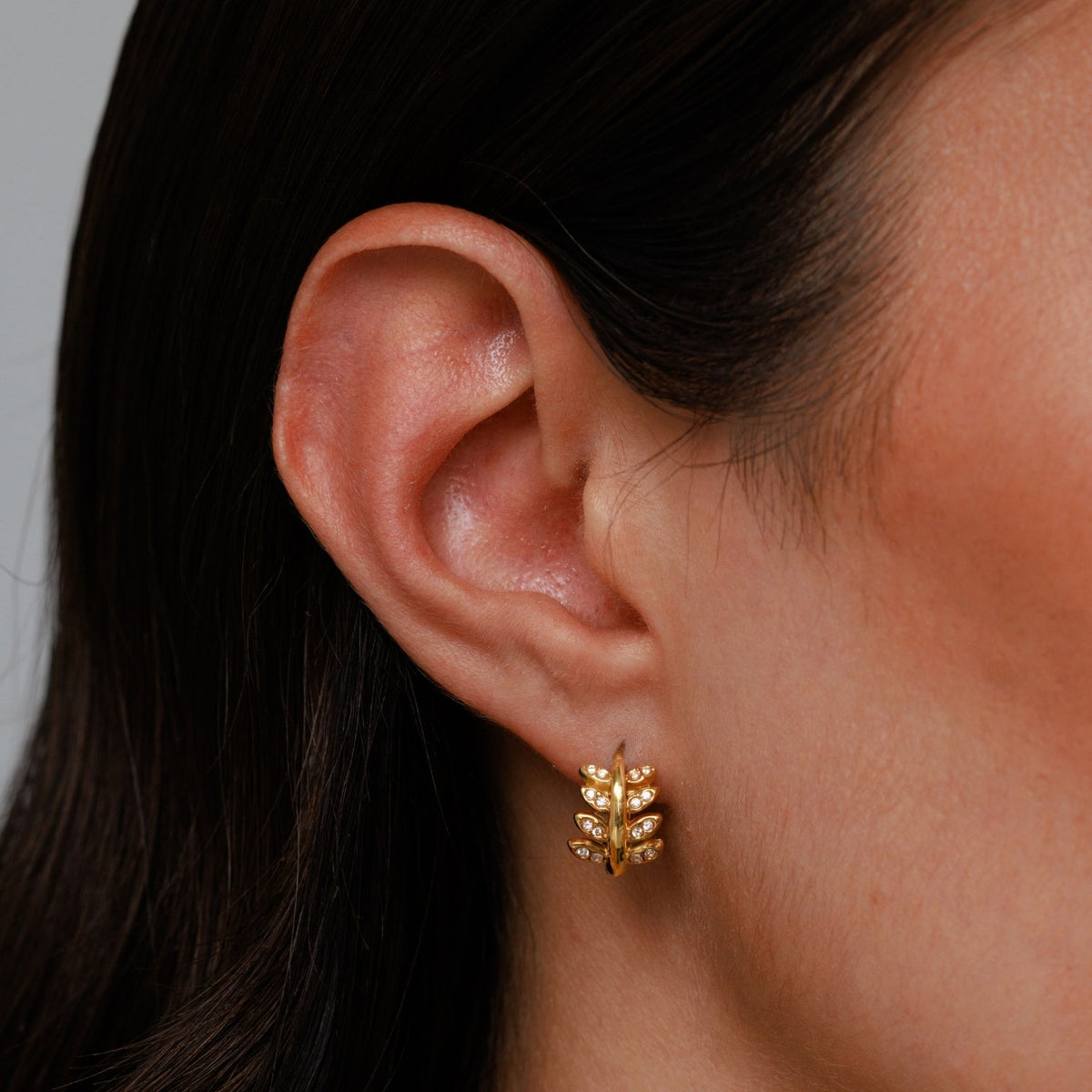 Laurel Hoops Earrings 4