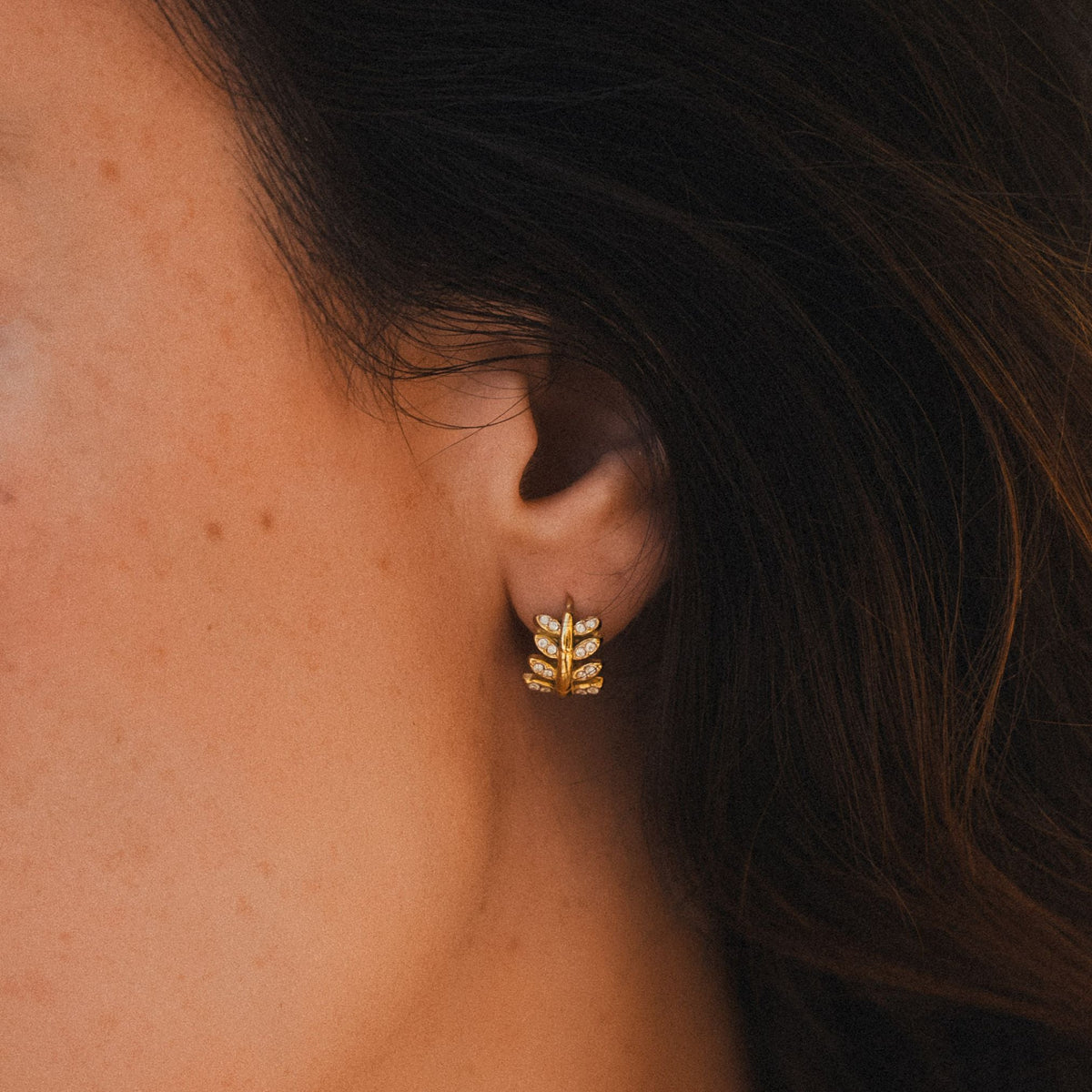 Laurel Hoops Earrings 3