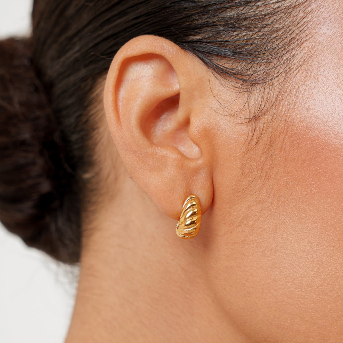 Nautilus Earrings 1
