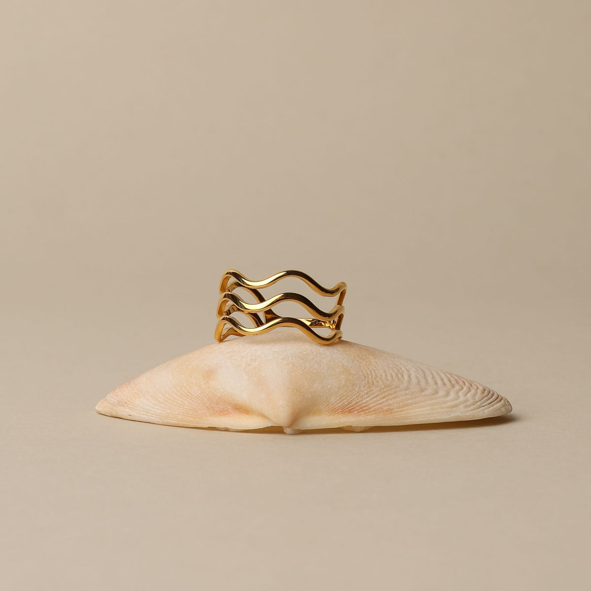 Ocean Ring 15