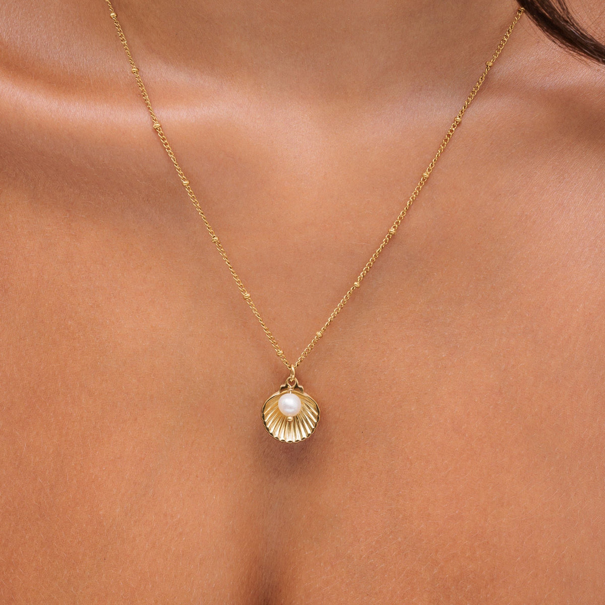 Seashell Necklace 6