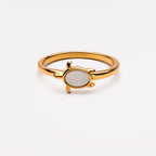 Sea Turtle Ring 1