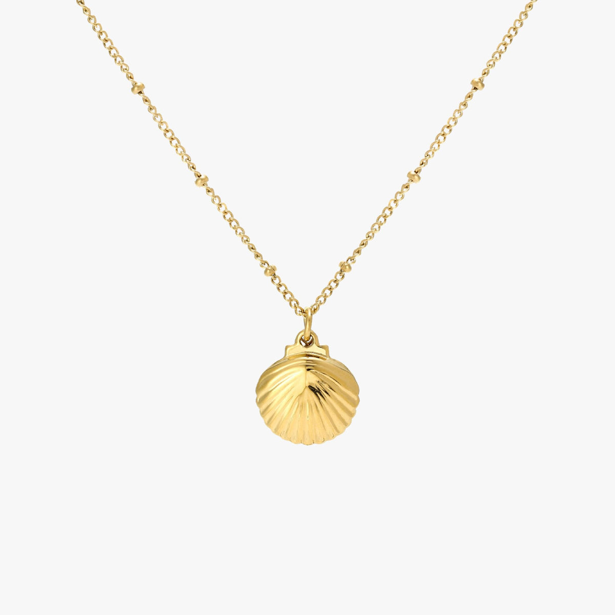 Seashell Necklace 10