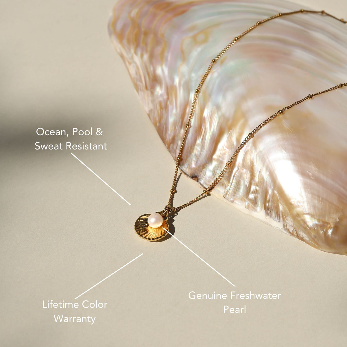 Seashell Necklace 2