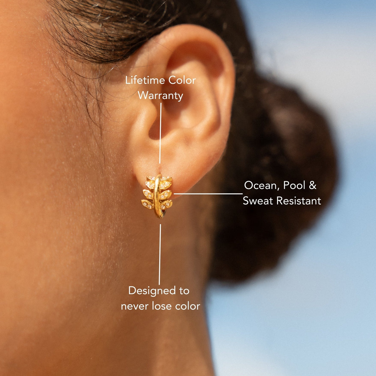 Laurel Hoops Earrings 6