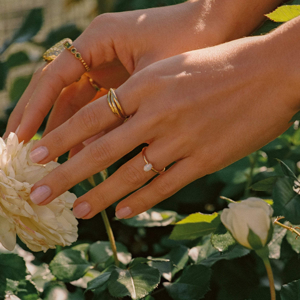 Bond Ring 5