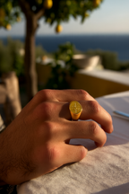 Pureform Compass Ring | PVD Gold 2