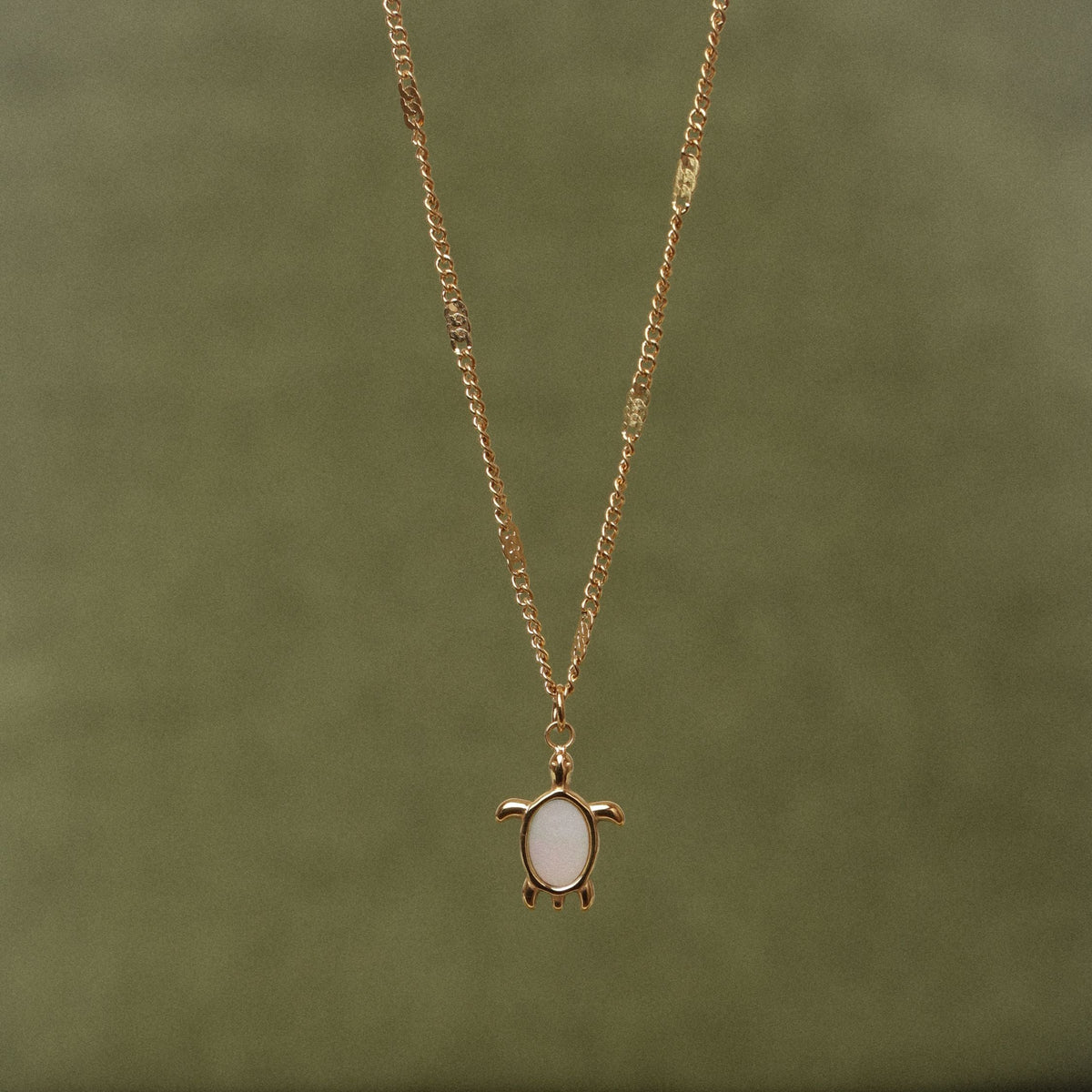 Turtle Guardian Necklace 2