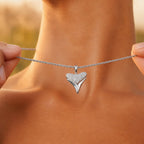 Shark Tooth Pendant 9