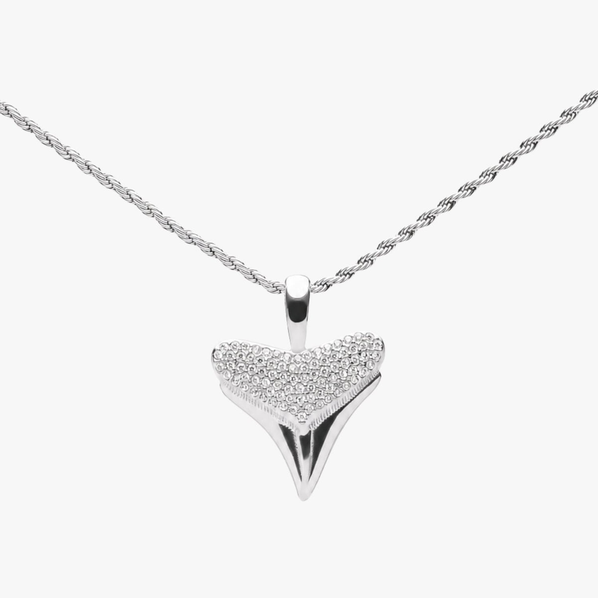 Shark Tooth Pendant 8