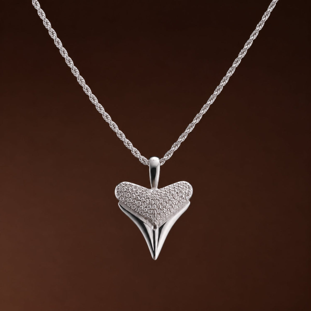 Shark Tooth Pendant 11
