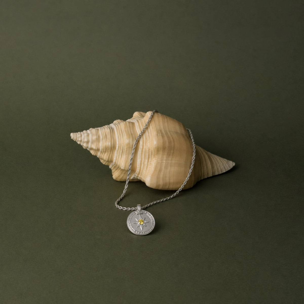Golden Compass Necklace 9