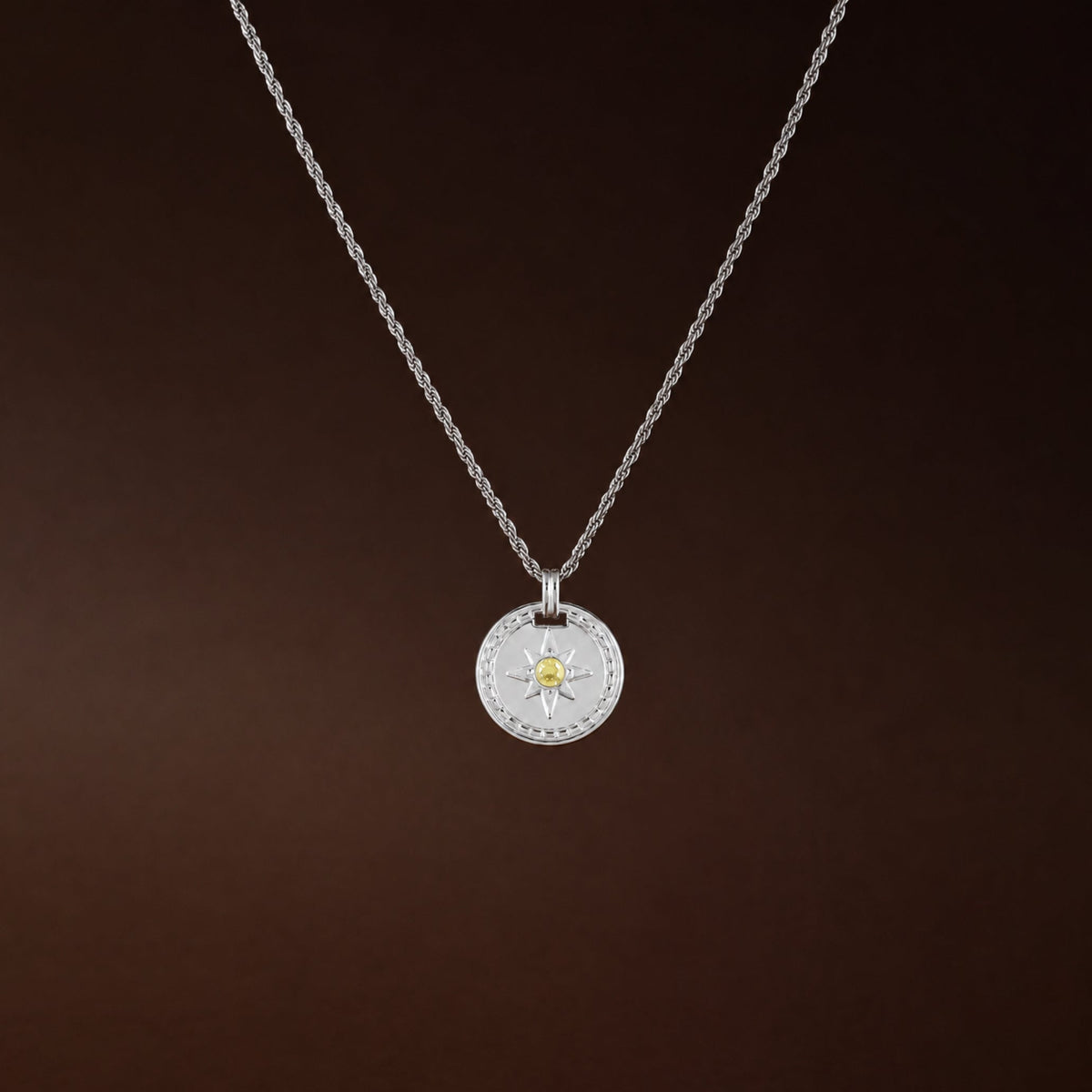 Golden Compass Necklace 8