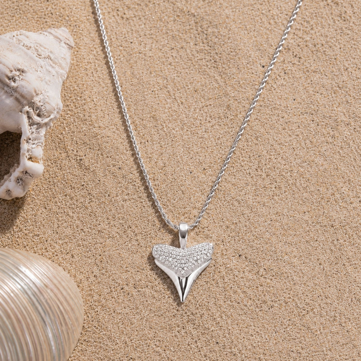 Shark Tooth Pendant 10