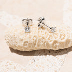 Zircon Stud Earrings 10