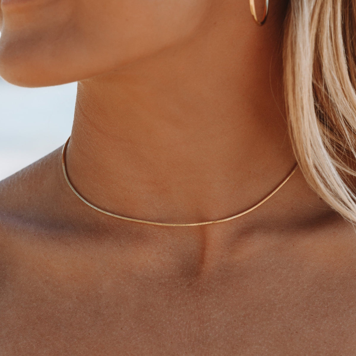 Fine Choker 1