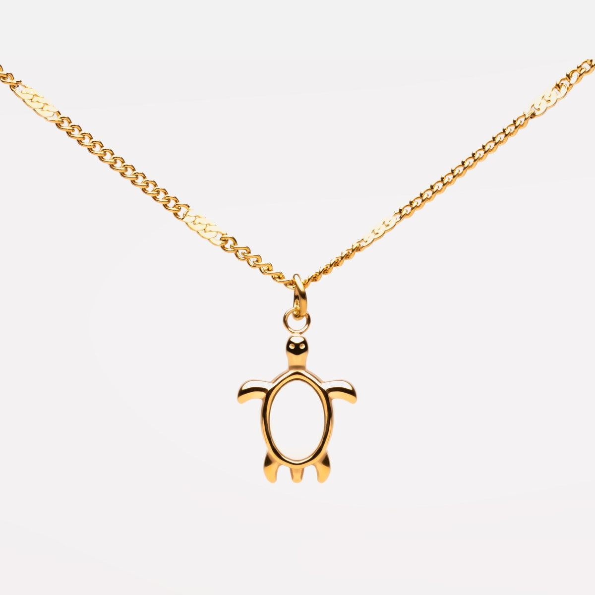 Turtle Guardian Necklace 1