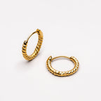 Twisted Hoops Earrings 2
