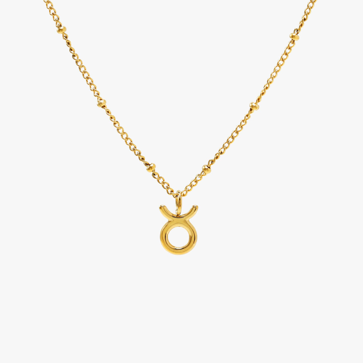 Zodiac Necklace 18