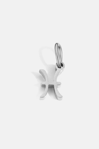 Zodiac Sign Pendant Silver 10